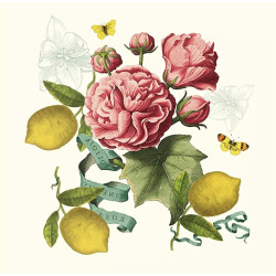 Kissen citrons de menton romance |Garnier Thiebaut