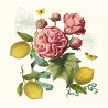Kissen citrons de menton romance |Garnier Thiebaut